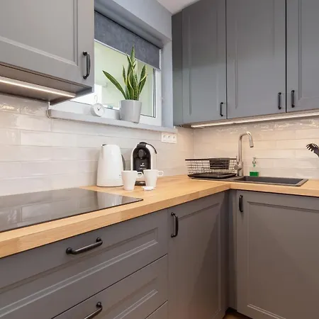 Atmospheric Next To Krupowki By Renters * 扎科帕内