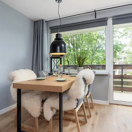 Atmospheric Next To Krupowki By Renters 扎科帕内