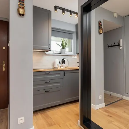 Atmospheric Next To Krupowki By Renters * 扎科帕内