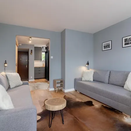 Atmospheric Next To Krupowki By Renters 扎科帕内