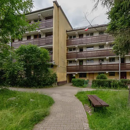 Atmospheric Next To Krupowki By Renters * Закопане