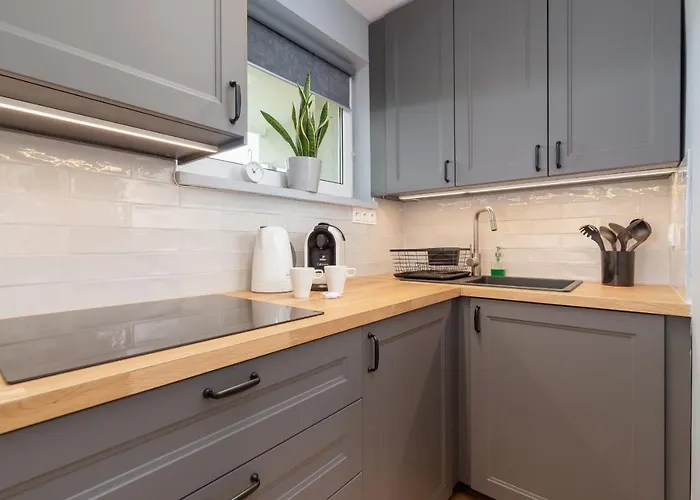 Atmospheric Next To Krupowki By Renters * Zakopane