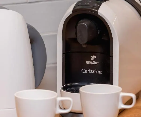 Atmospheric Next To Krupowki By Renters *