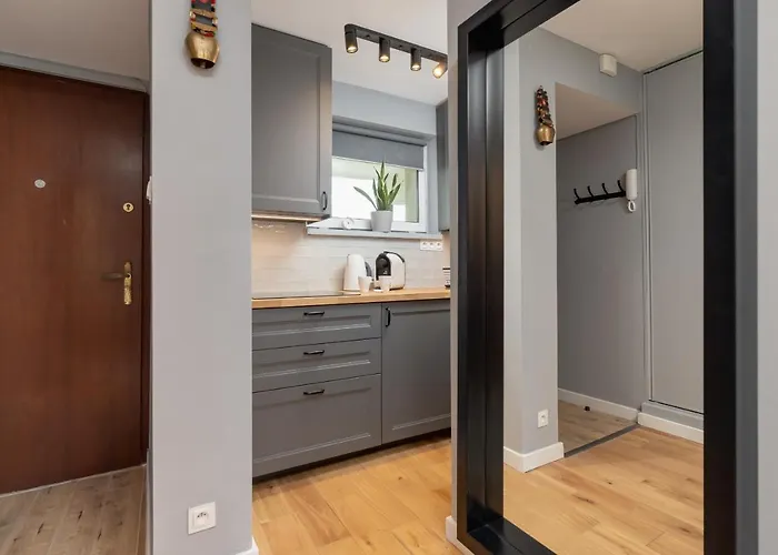 Atmospheric Next To Krupowki By Renters * Zakopane