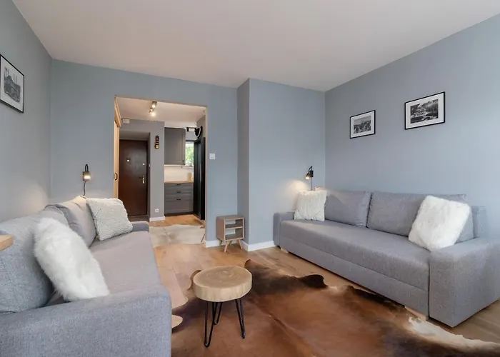 Atmospheric Next To Krupowki By Renters Zakopane