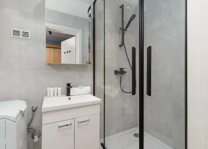 Atmospheric Next To Krupowki By Renters * Zakopane